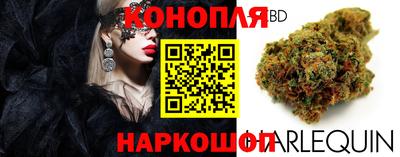 дистиллят марихуана Гай