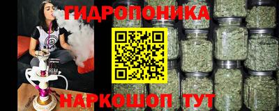 прущий лед Гатчина