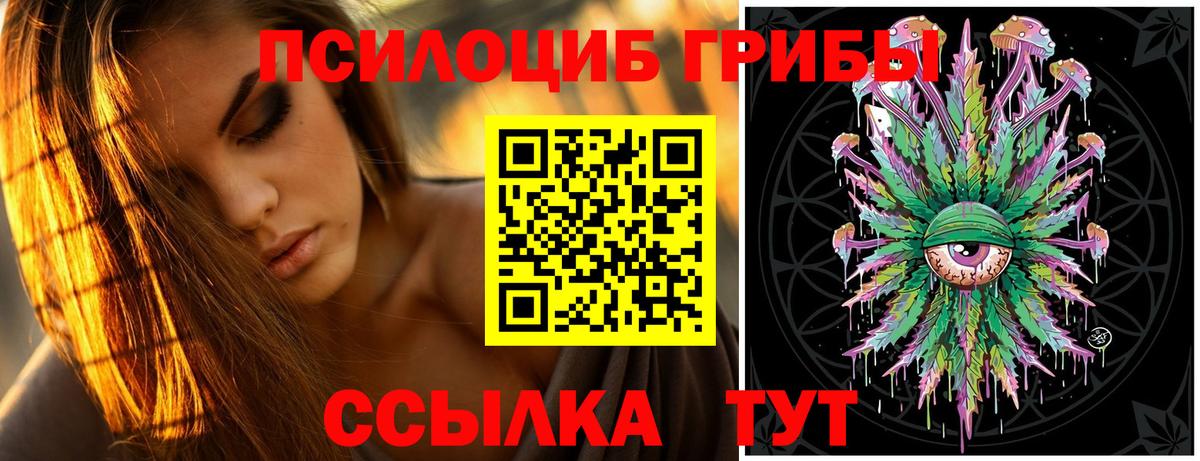 Надым  Галлюциногенные грибы Psilocybine cubensis  где купить наркоту  Вход с VPN 